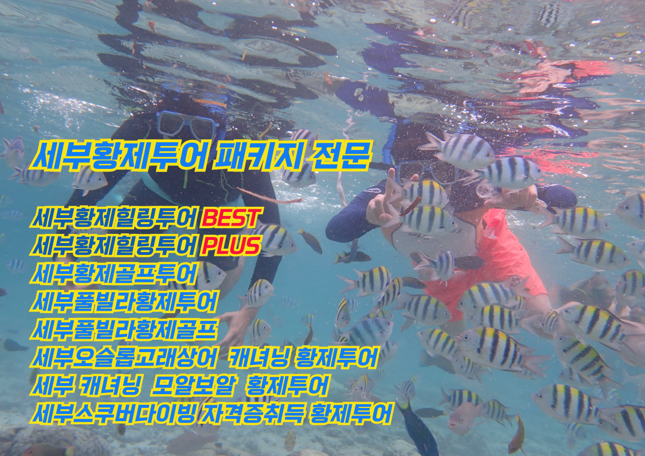 세부황제투어 필리핀황제투어 세부에코걸업체 세부에코걸프로필 세부유흥 세부황투어 세부링검마사지후기 세부황제골프.png