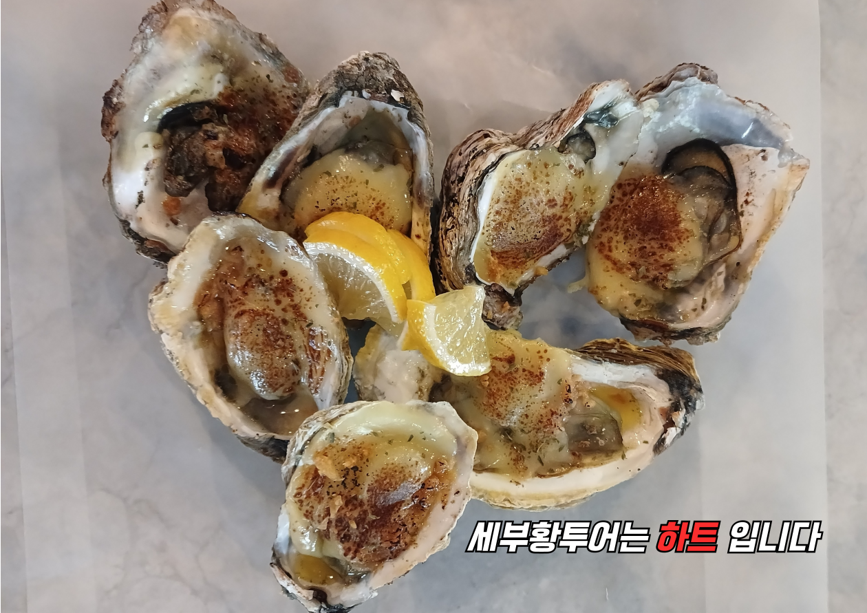 필리핀황제투어 세부황제투어 황투어 세부에코걸 황제여행 세부에코걸풀빌라.png