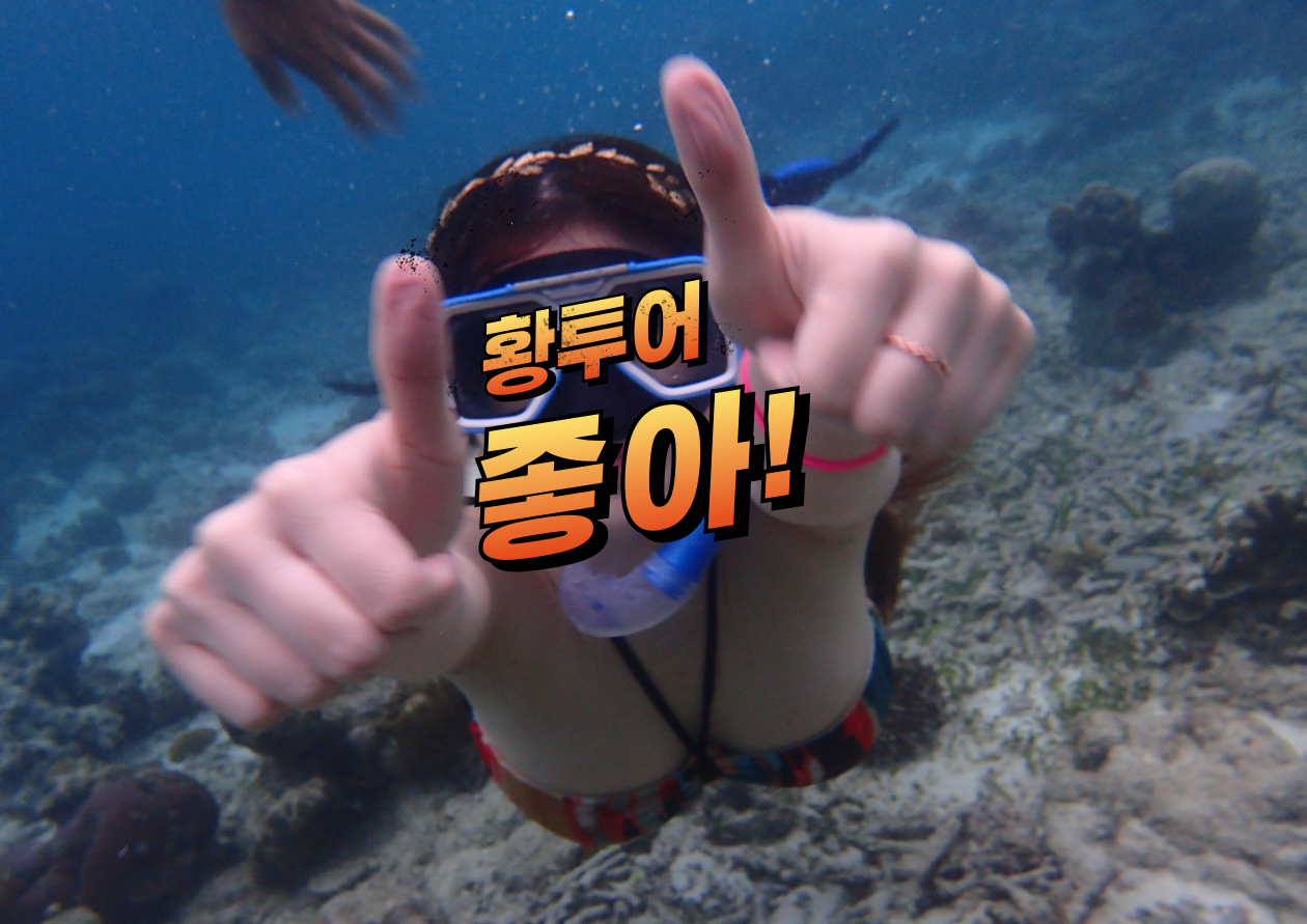 세부황제투어 세부에코걸업체 세부황투어 세부밤문화 세부유흥 세부황제골프 세부황제패키지.png