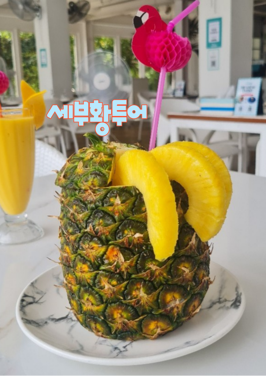 세부황투어 필리핀황제투어 세부맛집 막탄맛집.png