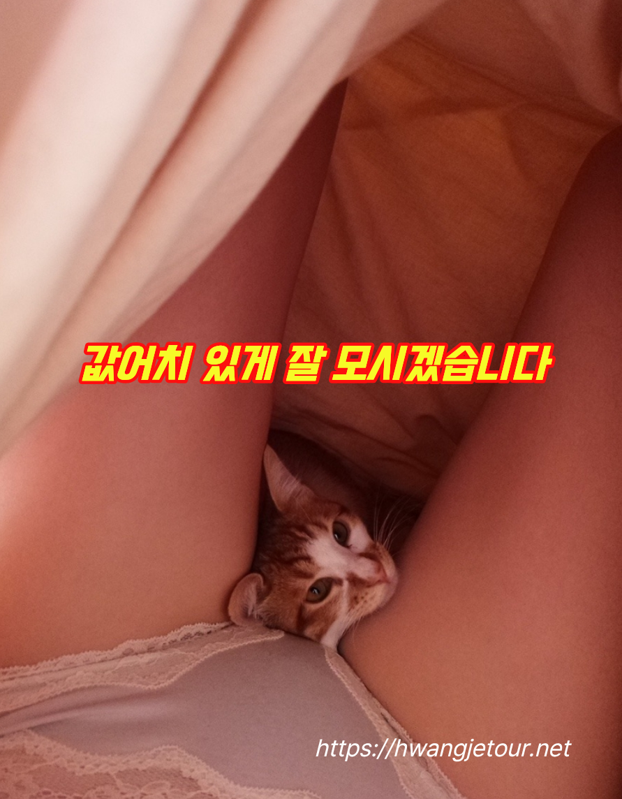 필리핀황제투어 세부황제투어 세부황투어 세부에코걸업체.png